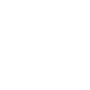 Copy of Fonts Selected