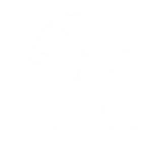 Kiarah Photography White